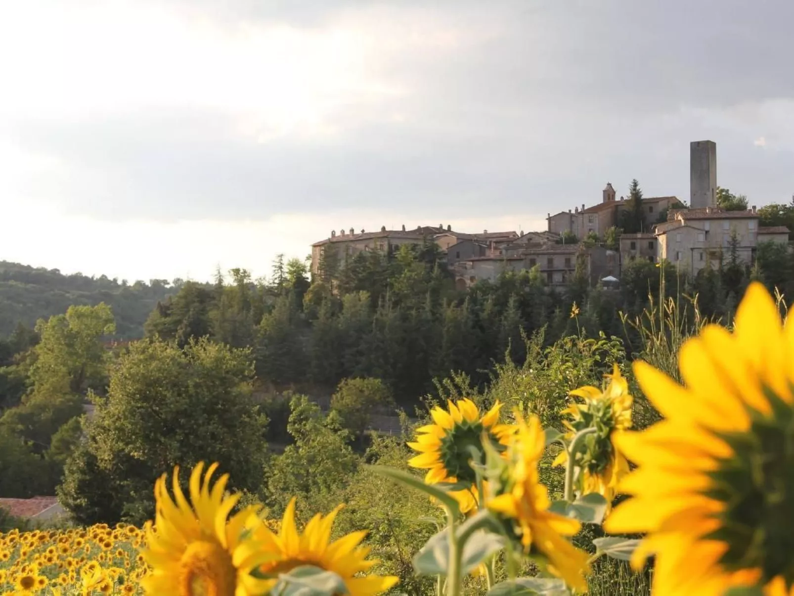 Villa mit privatem Spa und beheiztem Pool - Image-tags.info