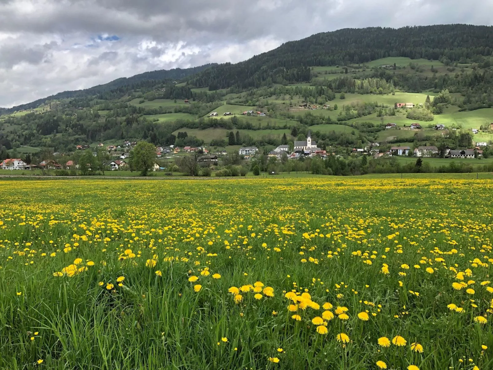 In Murau mit Privatem Pool - Image-tags.info