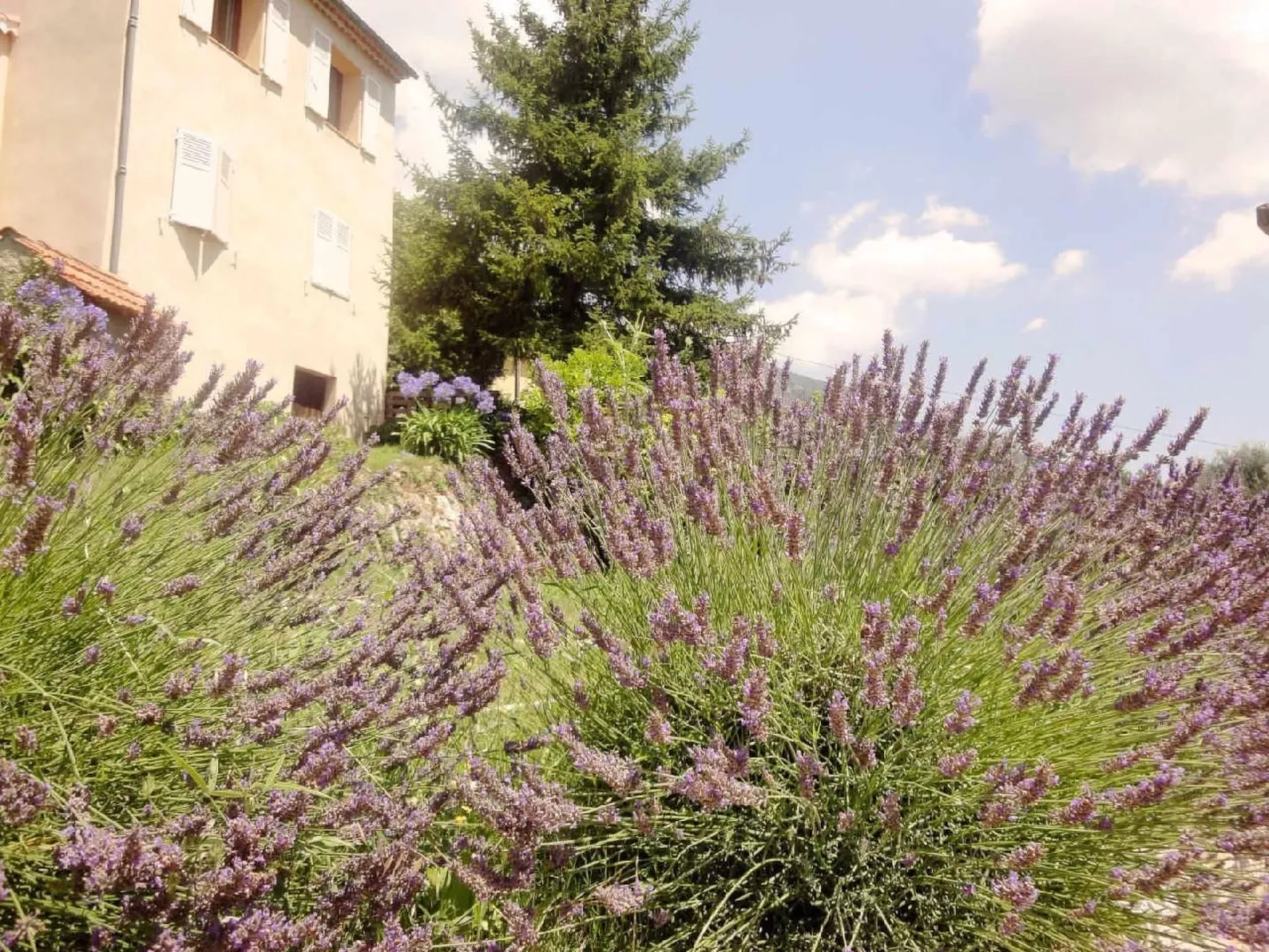 Locations-06 - das haus von noelie 1. stock - Image-tags.info