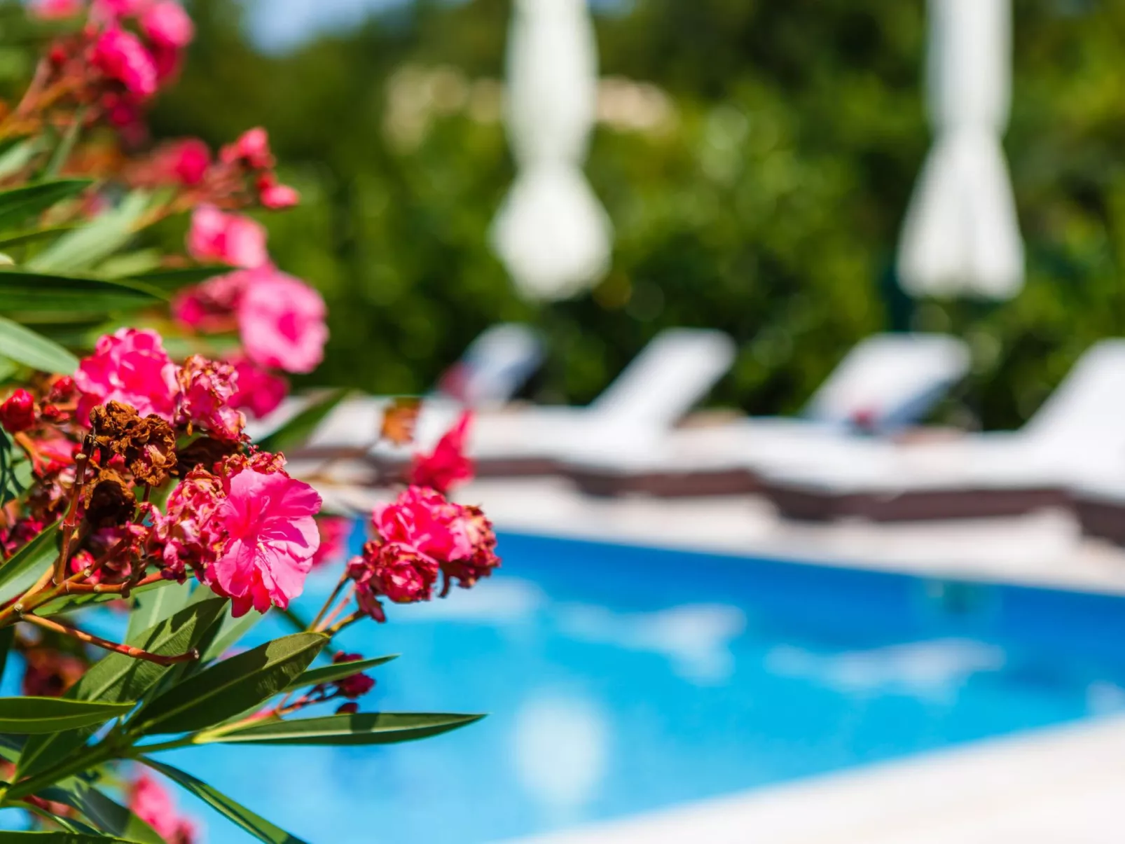 Villa Kamenica  im mediterranen Stil mit Innen- und Außenpool - Image-tags.info