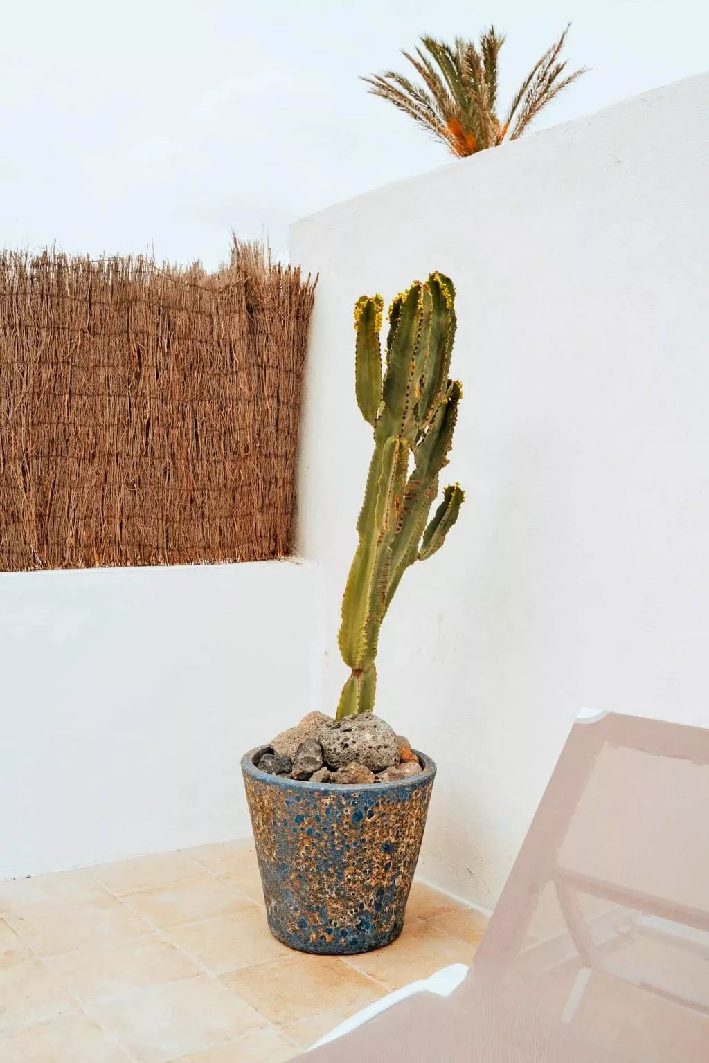 Komfortables Ferienhaus in Corralejo mit privatem Garten und beheiztem Pool - Image-tags.info