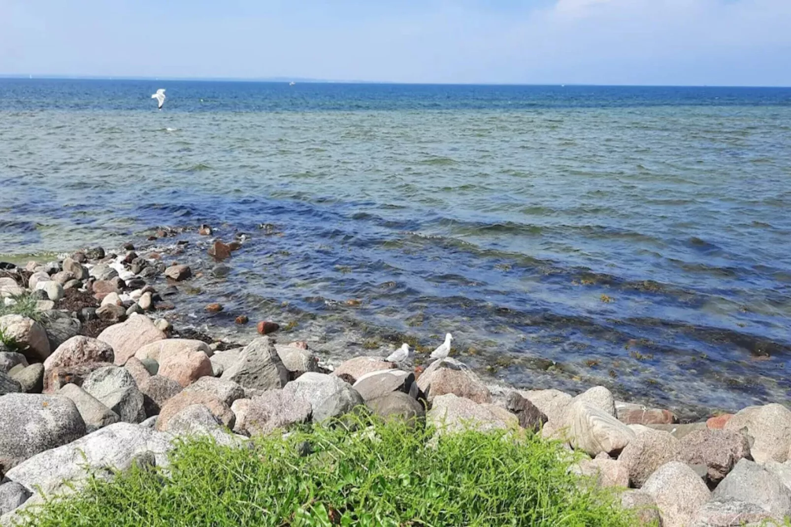 4 room,ground floor - Waterzicht