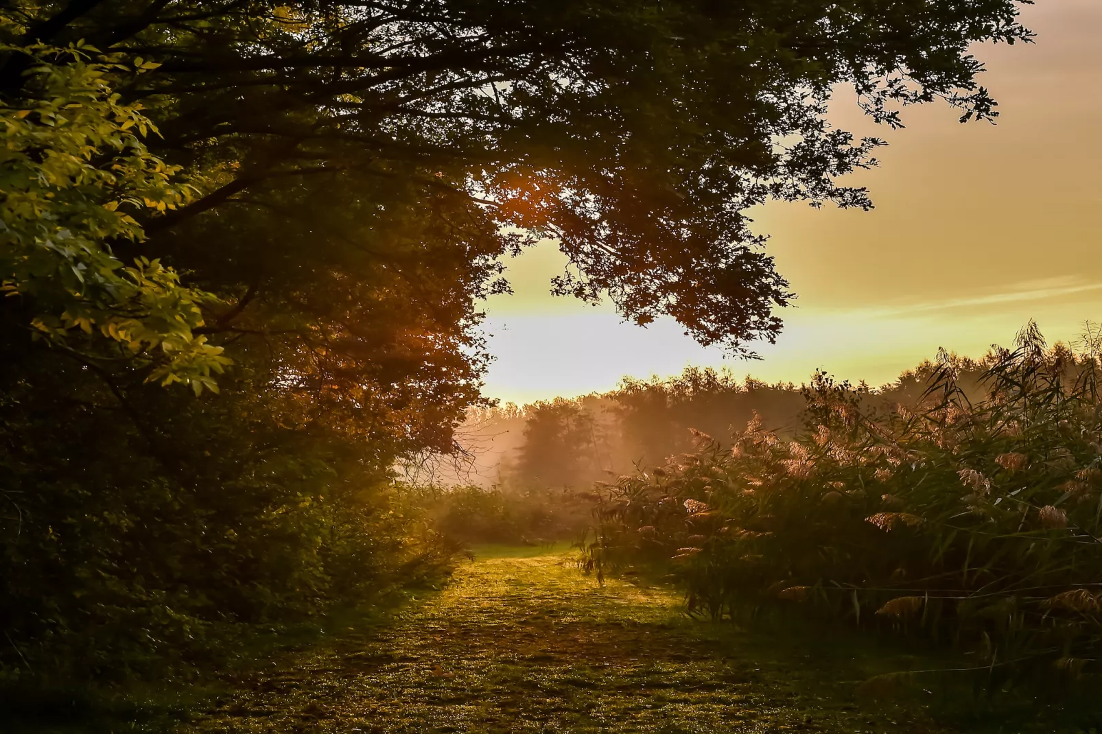 Vakantiepark Mölke 16 - Gebieden zomer 5km