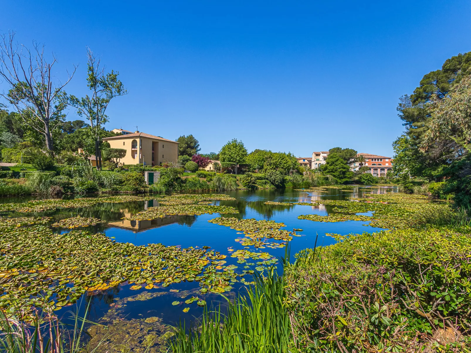 Les Rivages de Coudoulière - Binnen