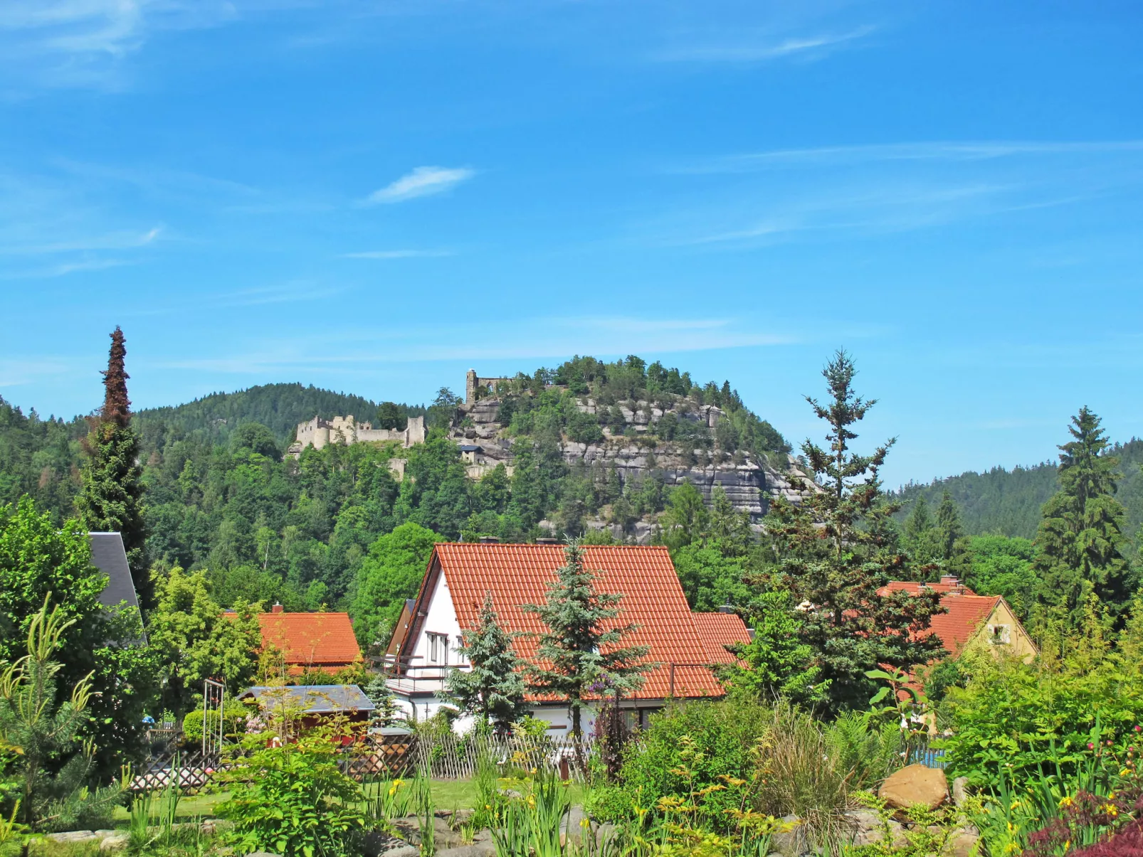 Waldferienhaus Dunja mit Sauna, Whirlpool, direkt am Waldrand, Kletterfelsen - Omgeving