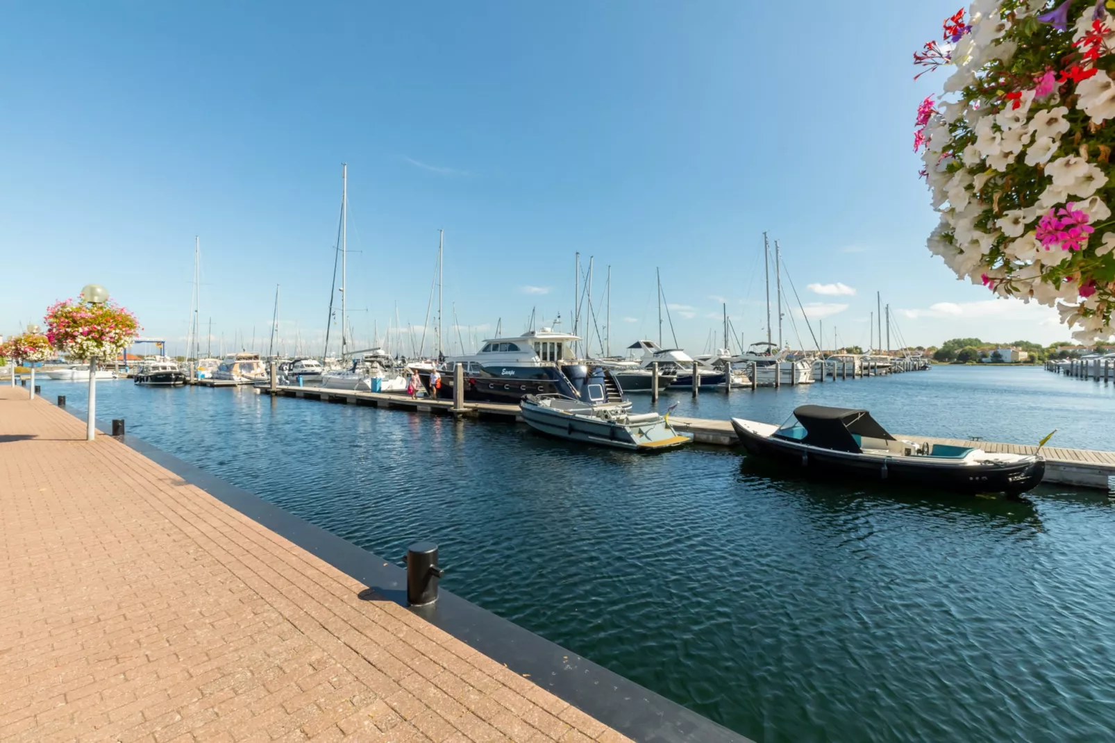 Zonnedorp 1 Solskin Renesse | Beach Holiday in Modern Holiday Home - Gebieden zomer 1km