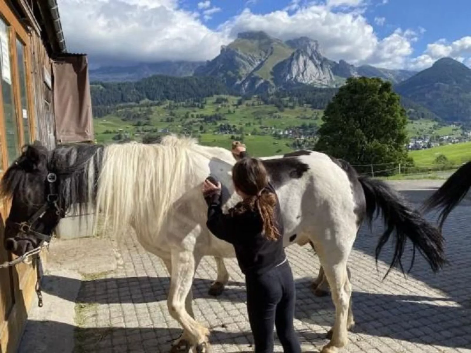 Chalet mit Garten, Grill und Terrasse - Image-tags.info