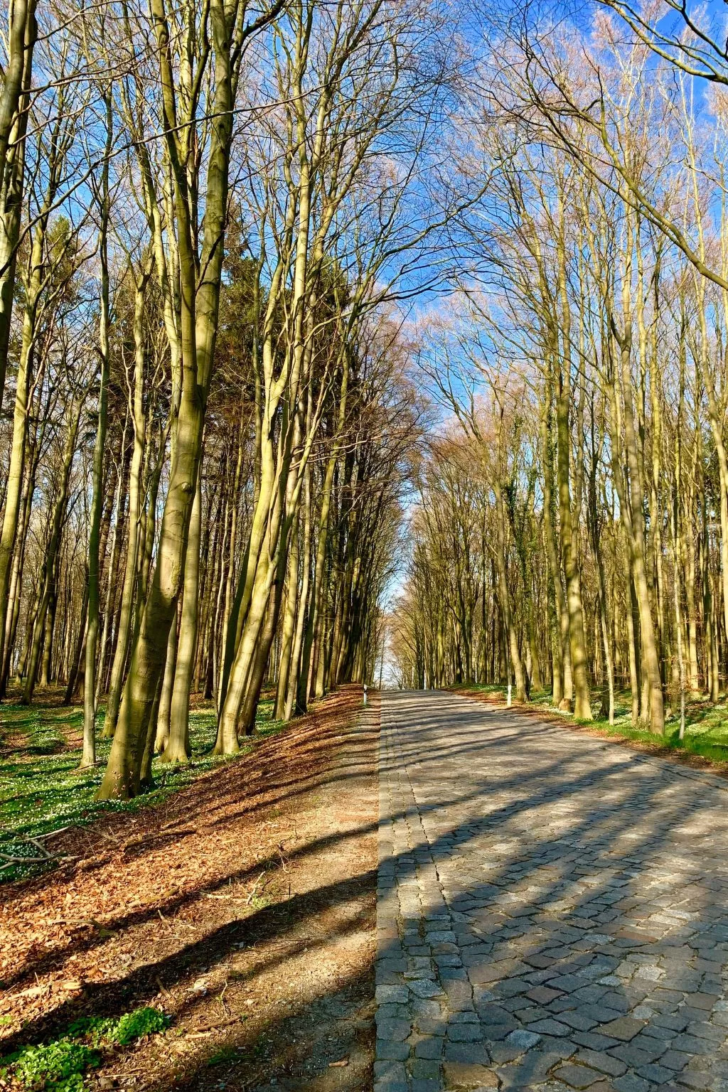 Mit Terrasse - Image-tags.info