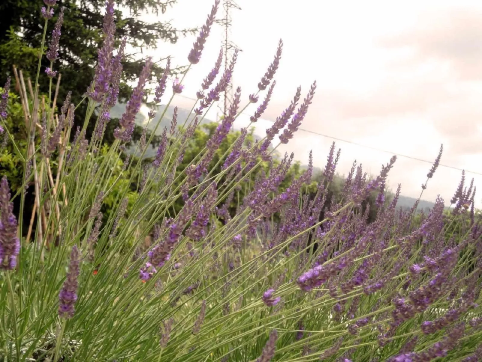 Locations-06 - Die Eugenie - Image-tags.info