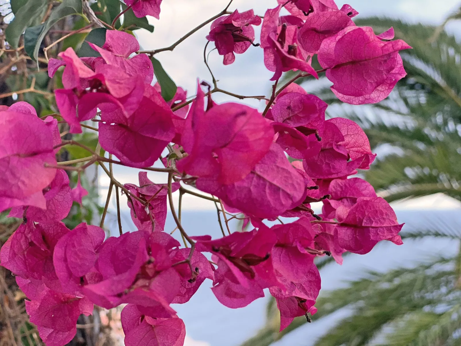 Villa Castillo Moro - Image-tags.info