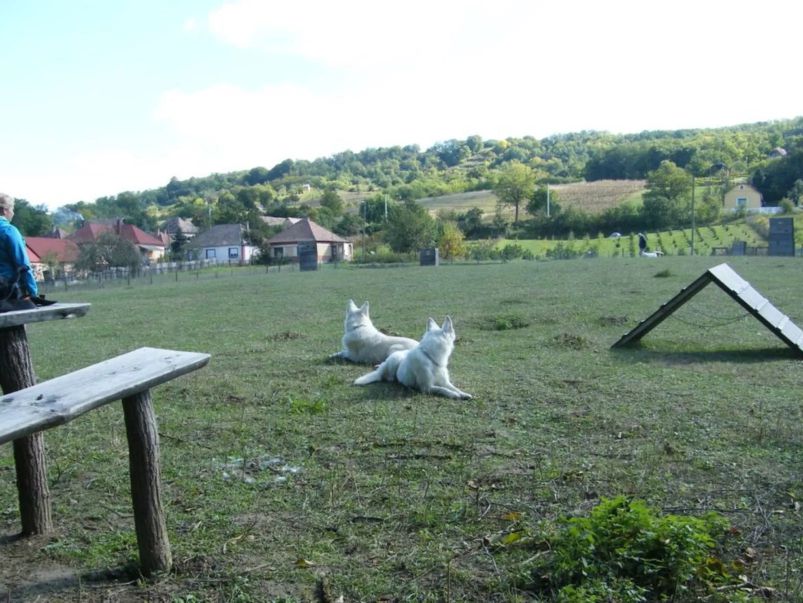 In Döbrököz mit privatem Pool - Image-tags.info