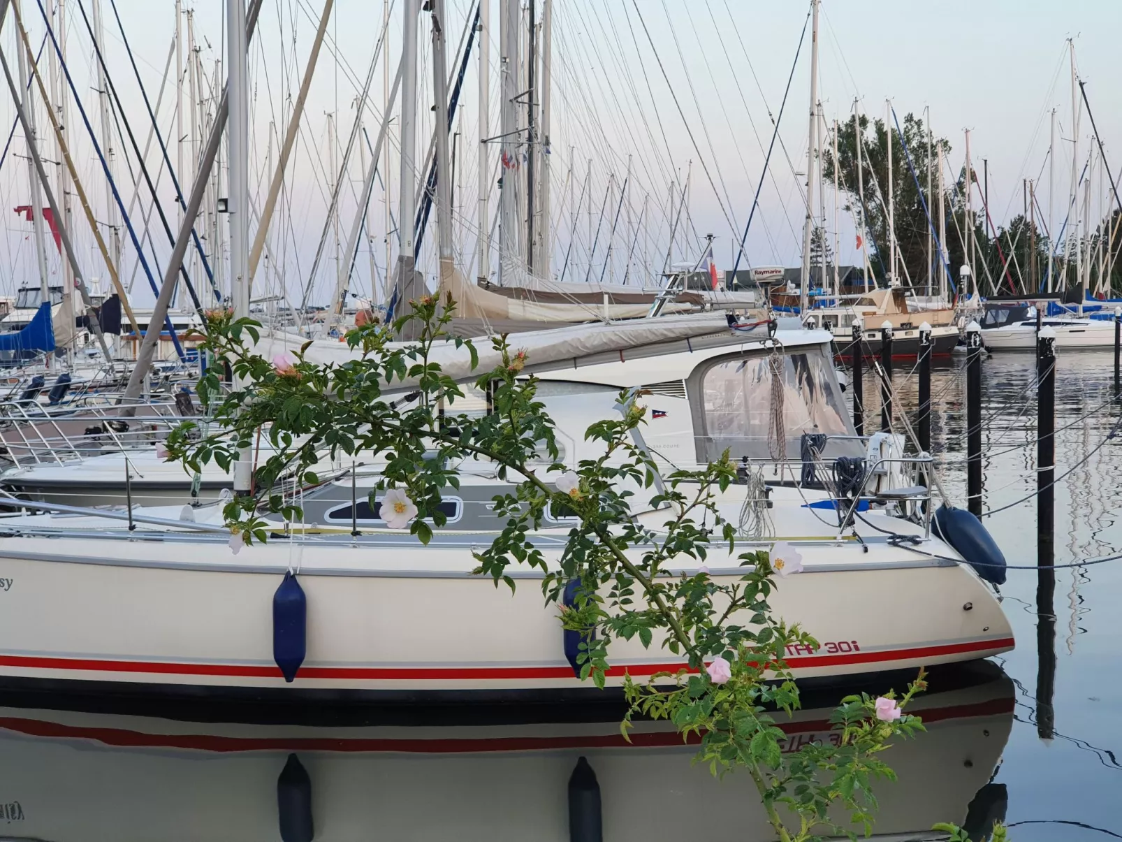 Komfortable Ferienwohnung in Ostseebad Damp mit Großer Terrasse - Image-tags.info
