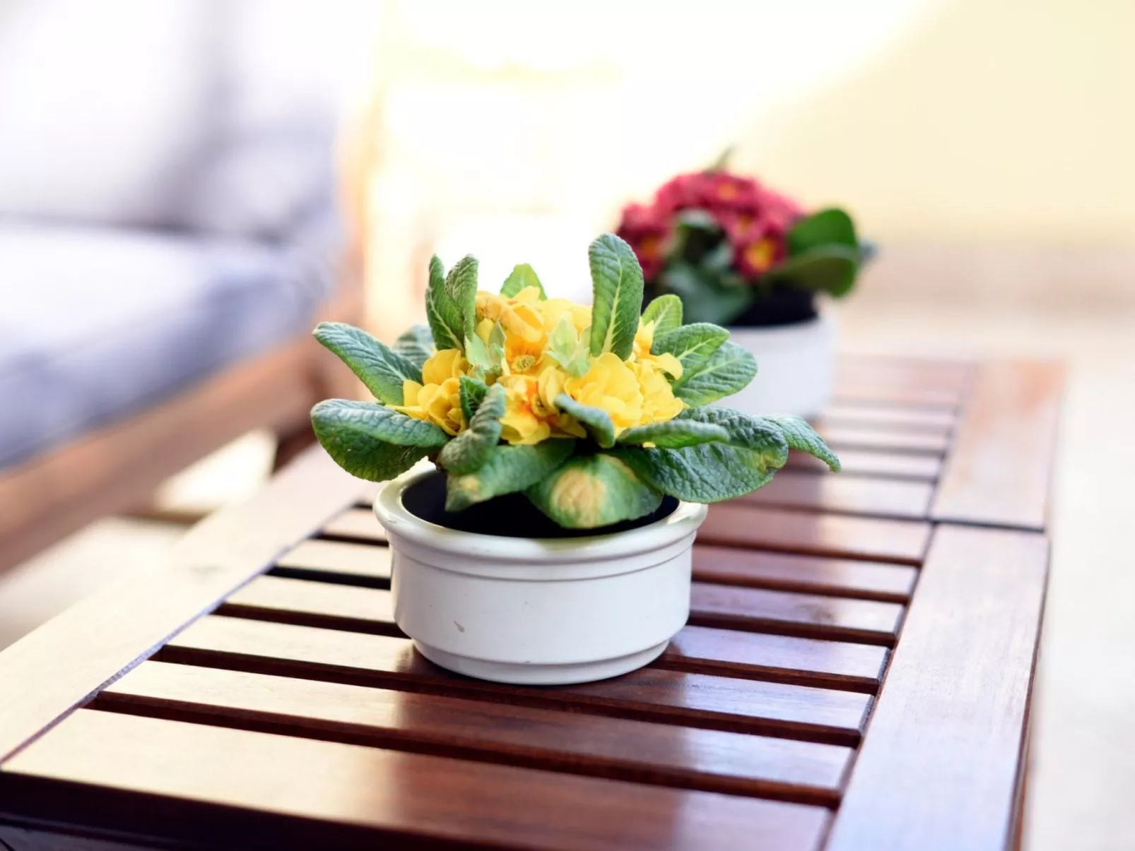 Wohnung in Zagreb mit großer Terrasse, neben dem Lotrščak-Turm - Image-tags.info