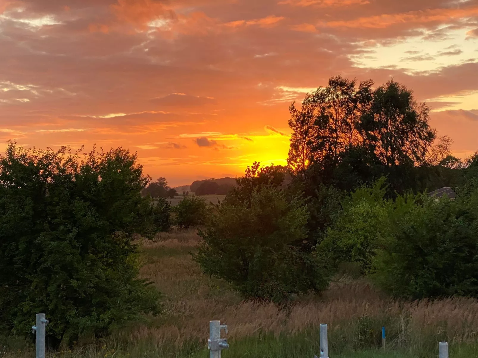 Kranichblick - Image-tags.info