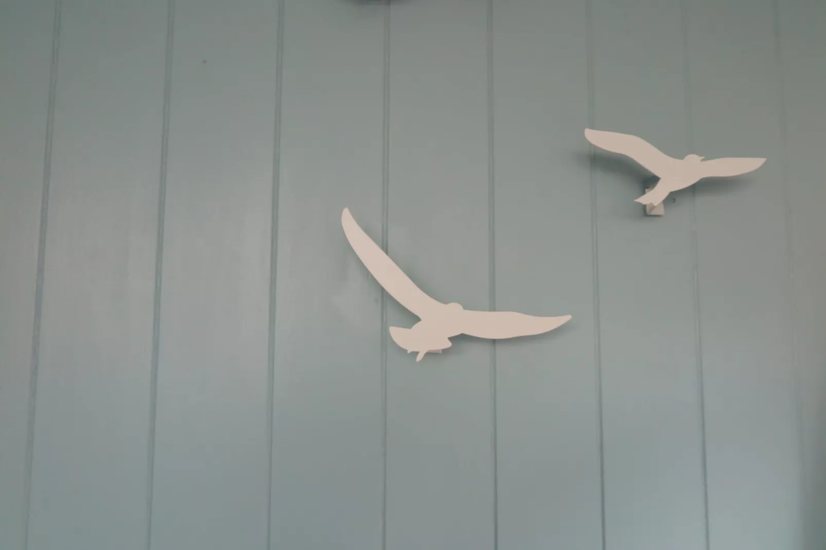 Slaapstrandhuisje - Strand dishoek 60 - Sfeer