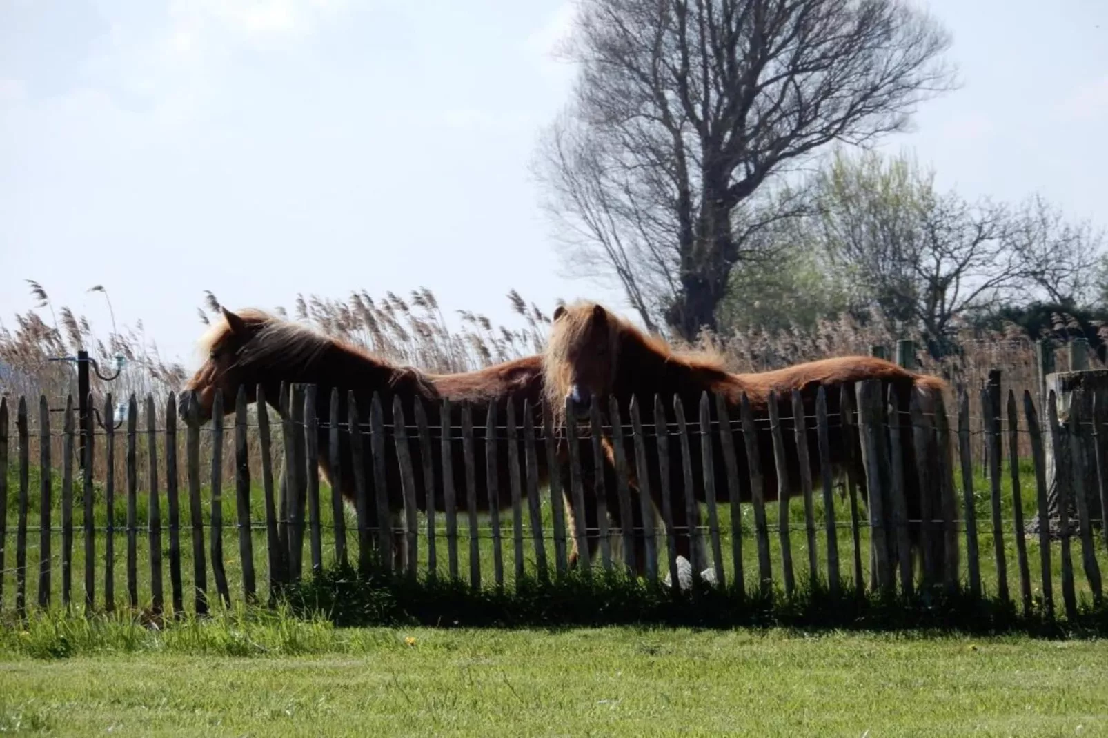 MEMLING 0202GAR - Gebieden zomer 20km