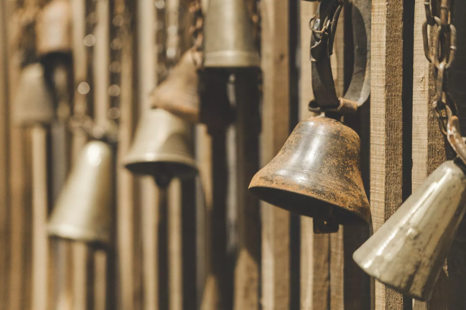 Résidence PLAN PEISEY Le Quartz -A74S-Sfeer