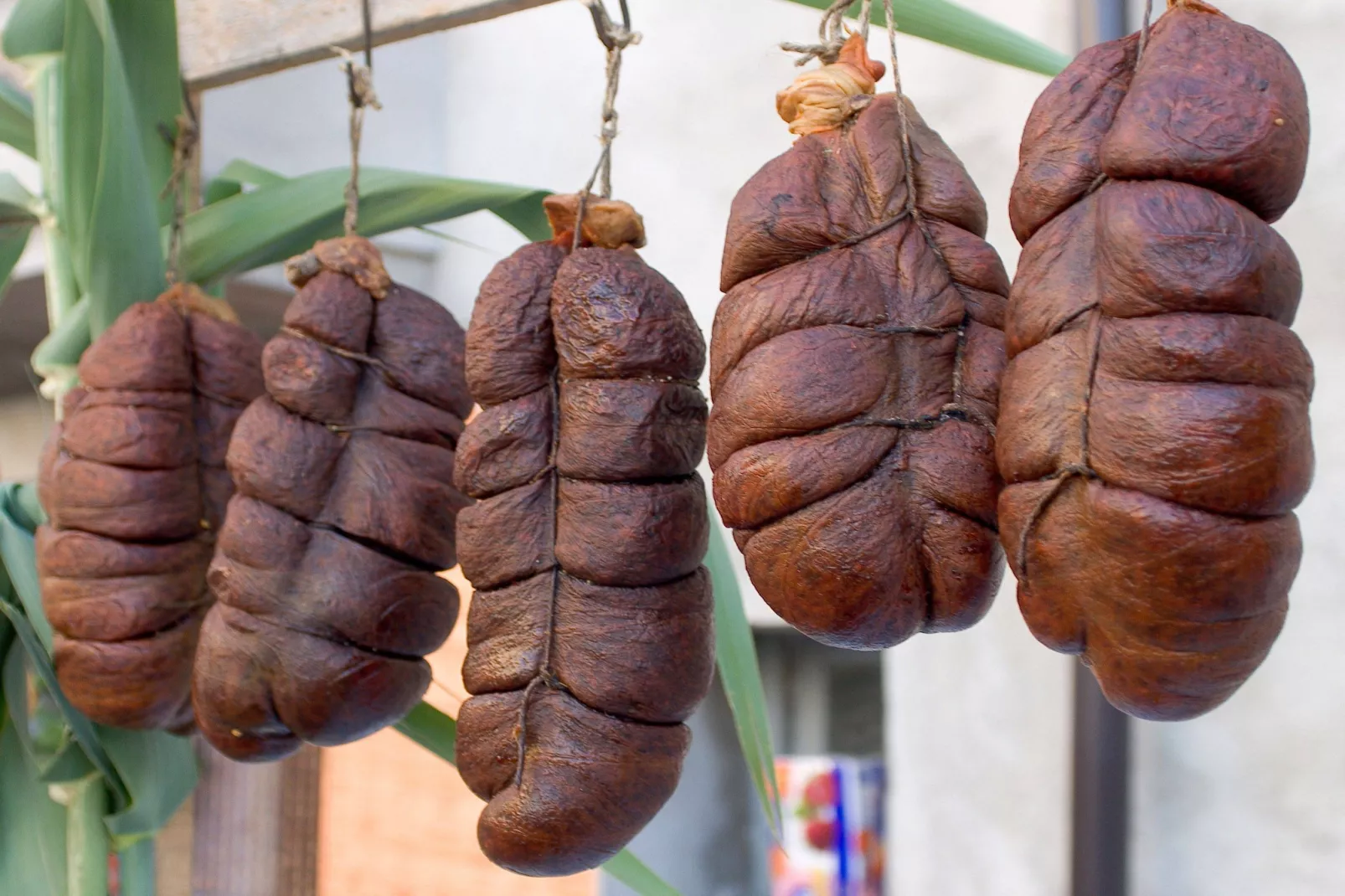 Cipolla Rossa-Gebieden zomer 20km