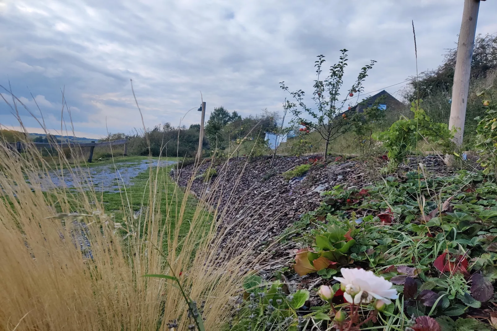 Appartement Terrasse 2/2