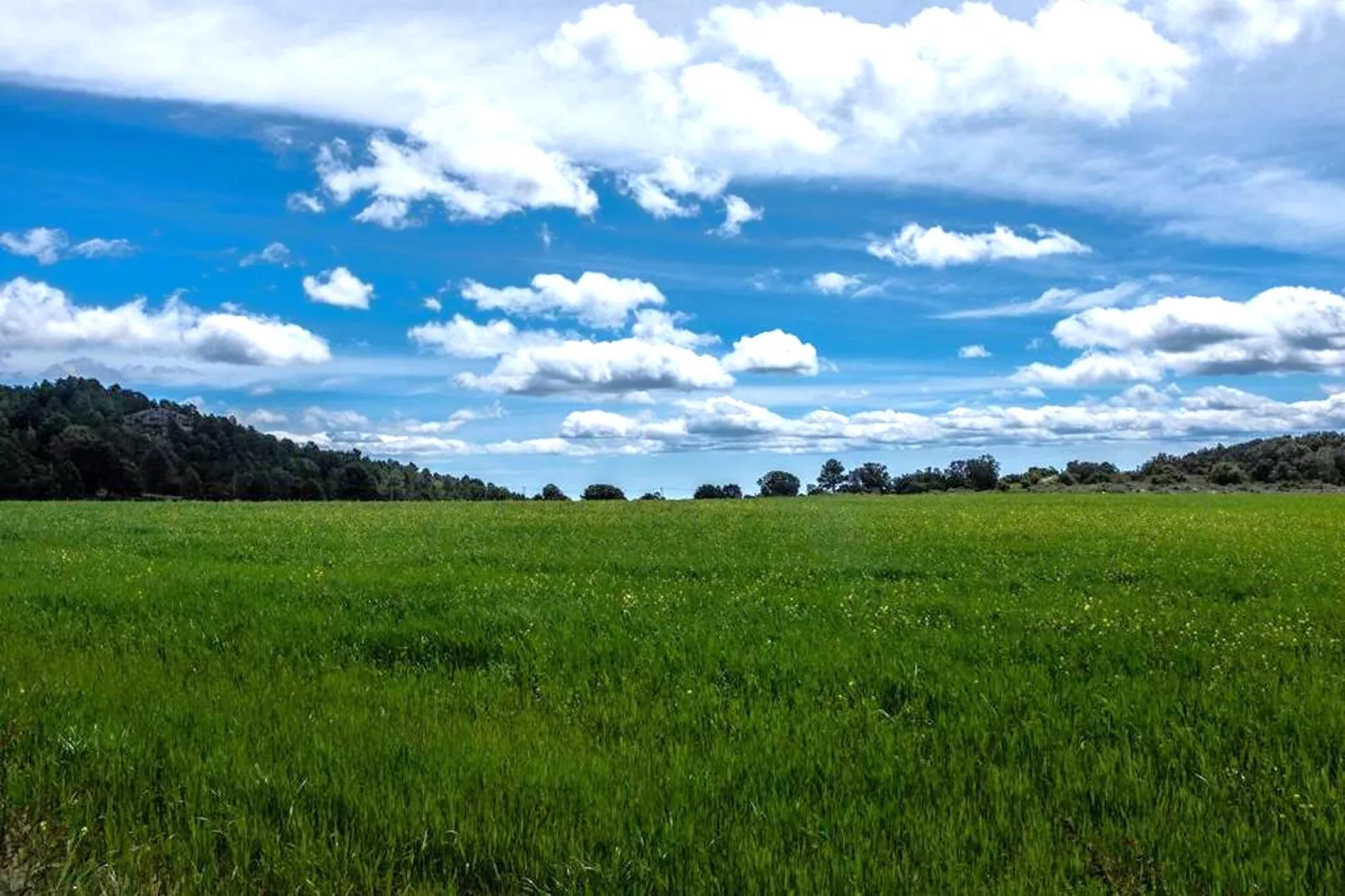 Mas de l'Arlequi - Gebieden zomer 20km