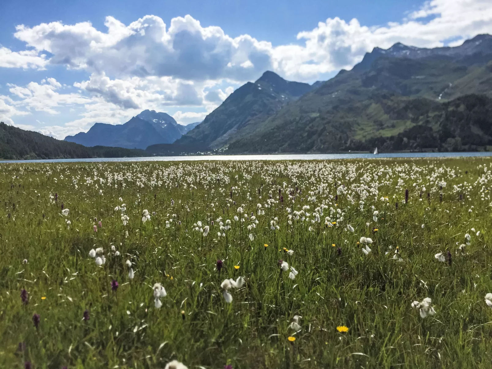 Chesa Piol - Omgeving