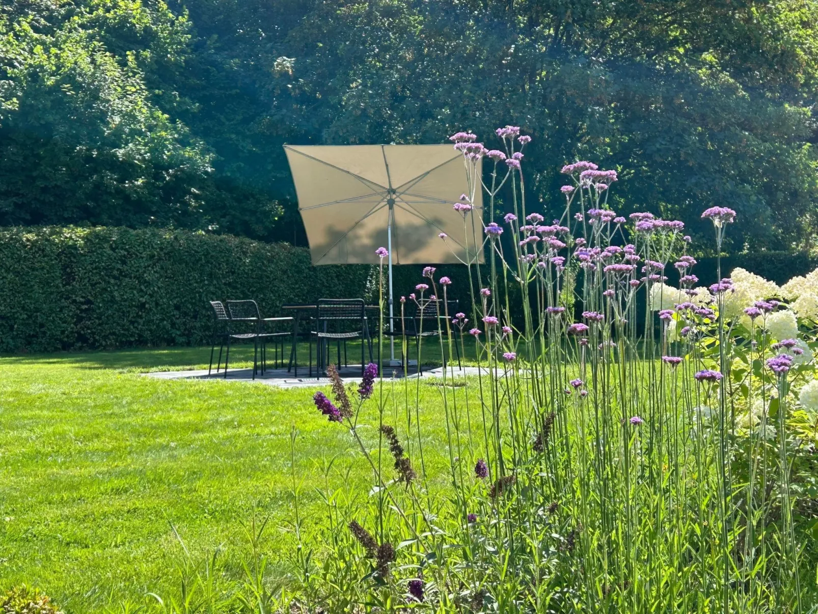 ZH 10 - Image-tags.info