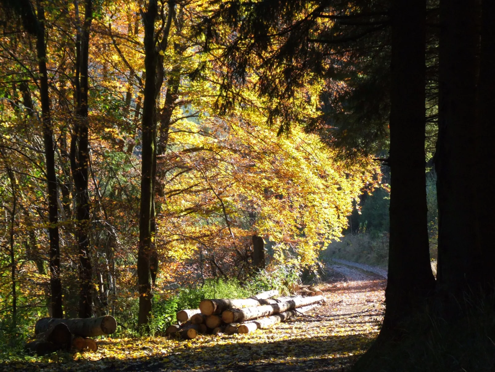 Fachwerkliebe - Image-tags.info