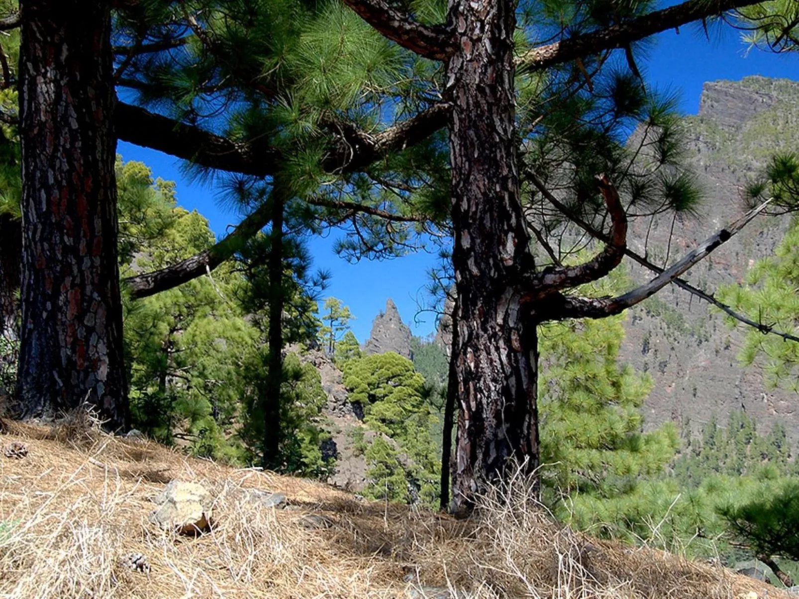 Anspruchsvolle Ferienvilla mit Panoramablick - Image-tags.info
