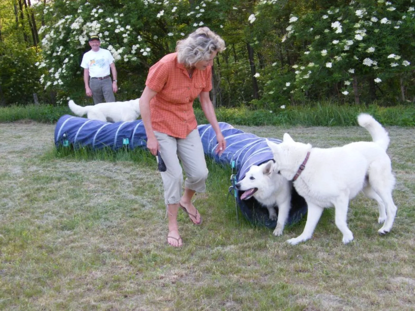 In Döbrököz mit privatem Pool - Image-tags.info