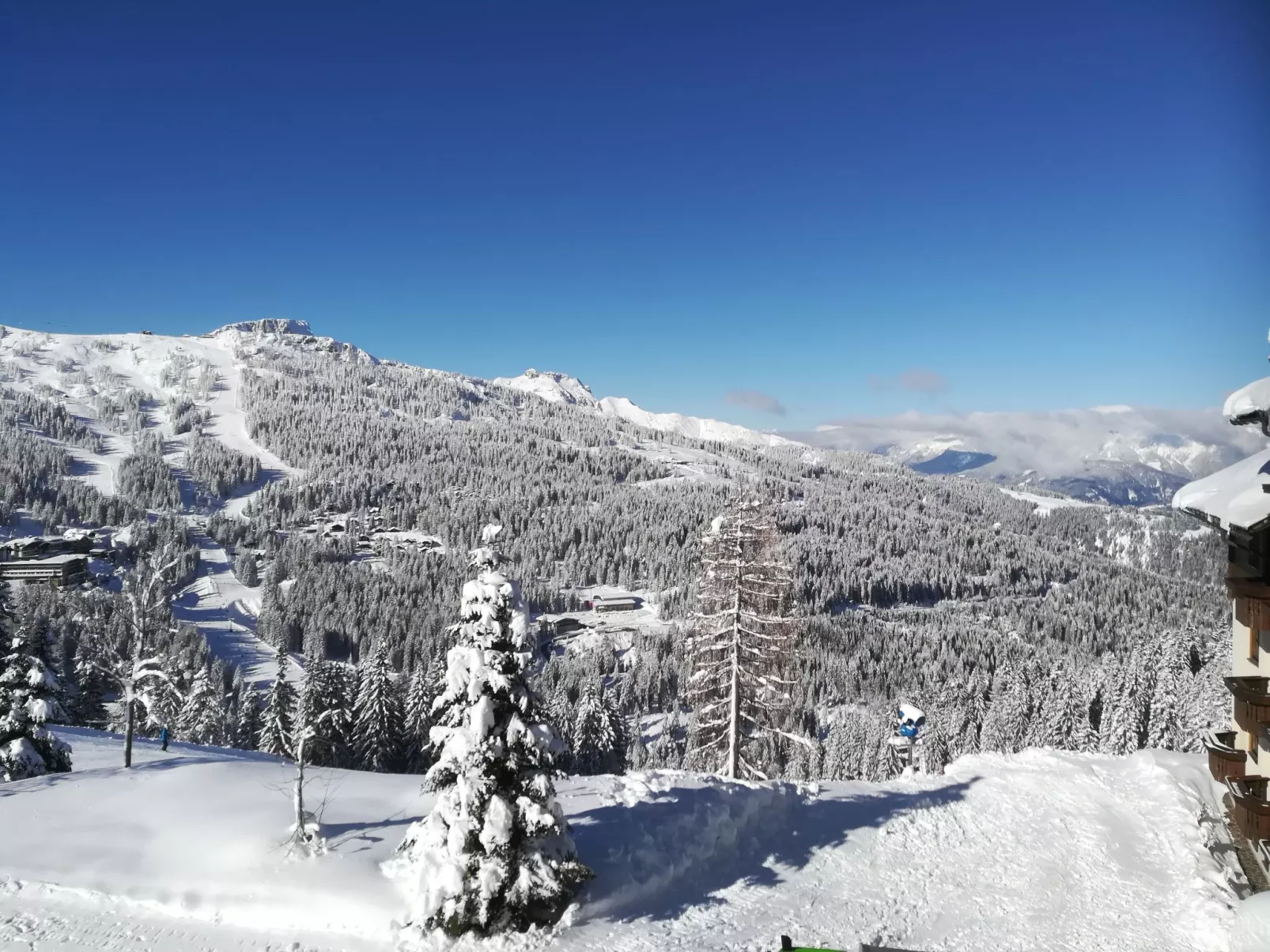 Haus Sunshine - Image-tags.info