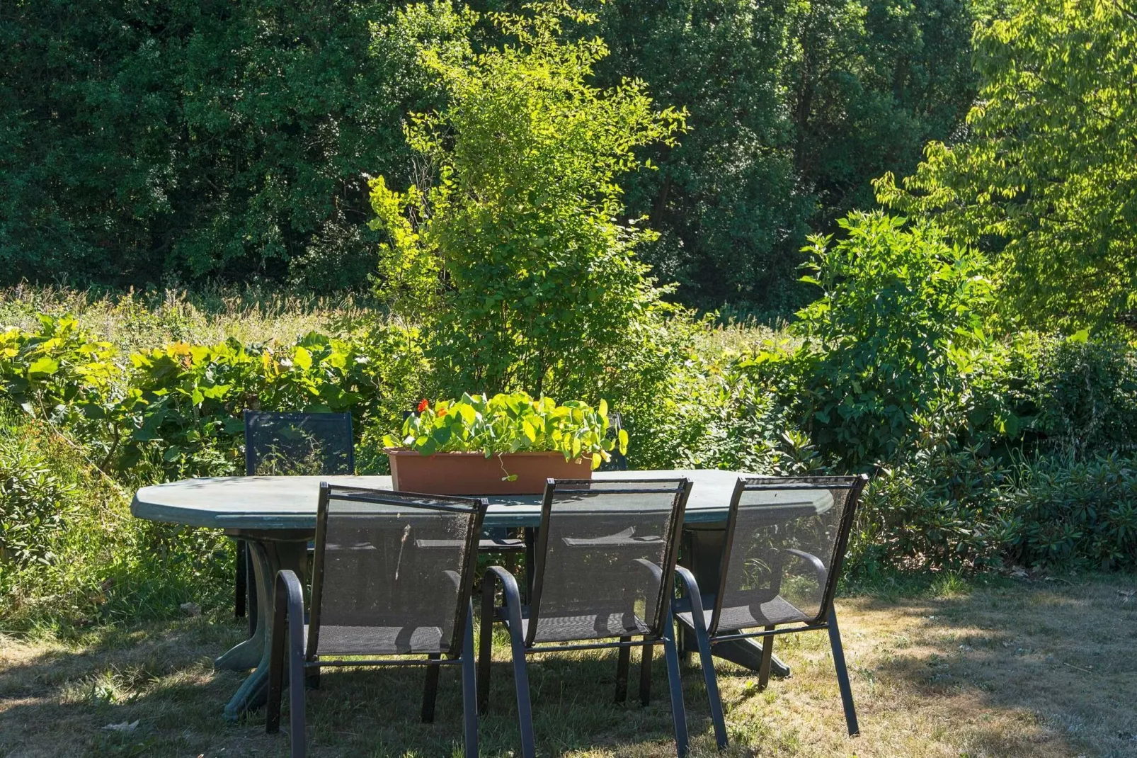 6 persoons vakantie huis in Brædstrup-By Traum-Buitenlucht
