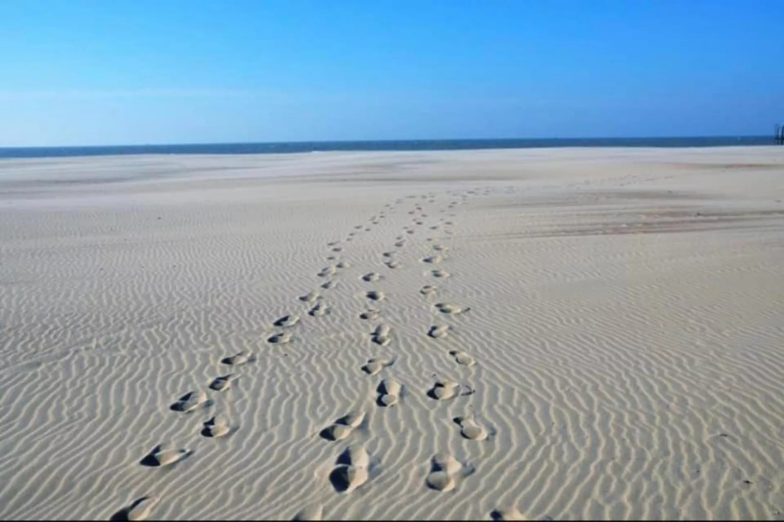 DE BRANDING 601-Gebieden zomer 20km