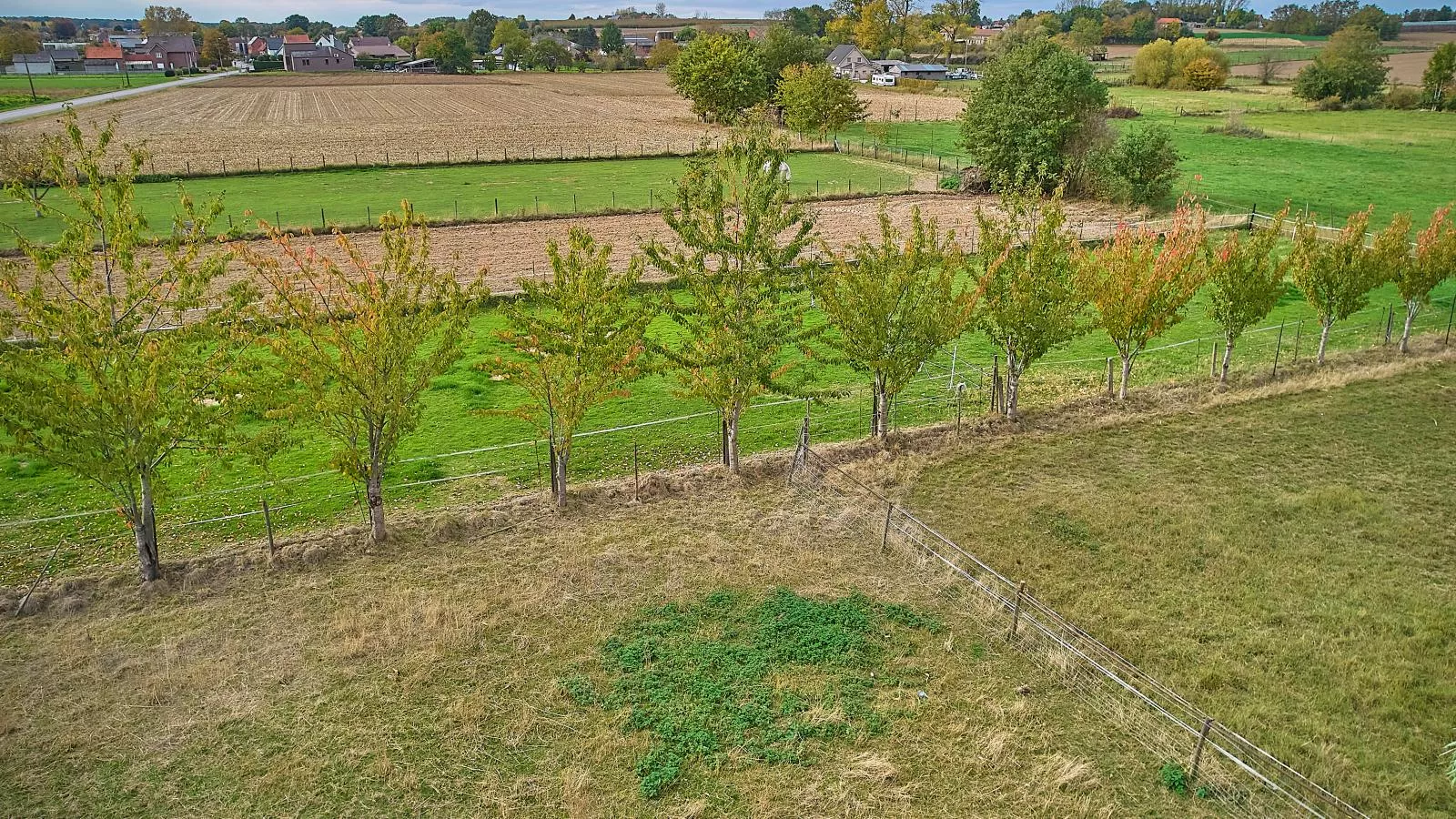Quanto A  B - Tuinen zomer