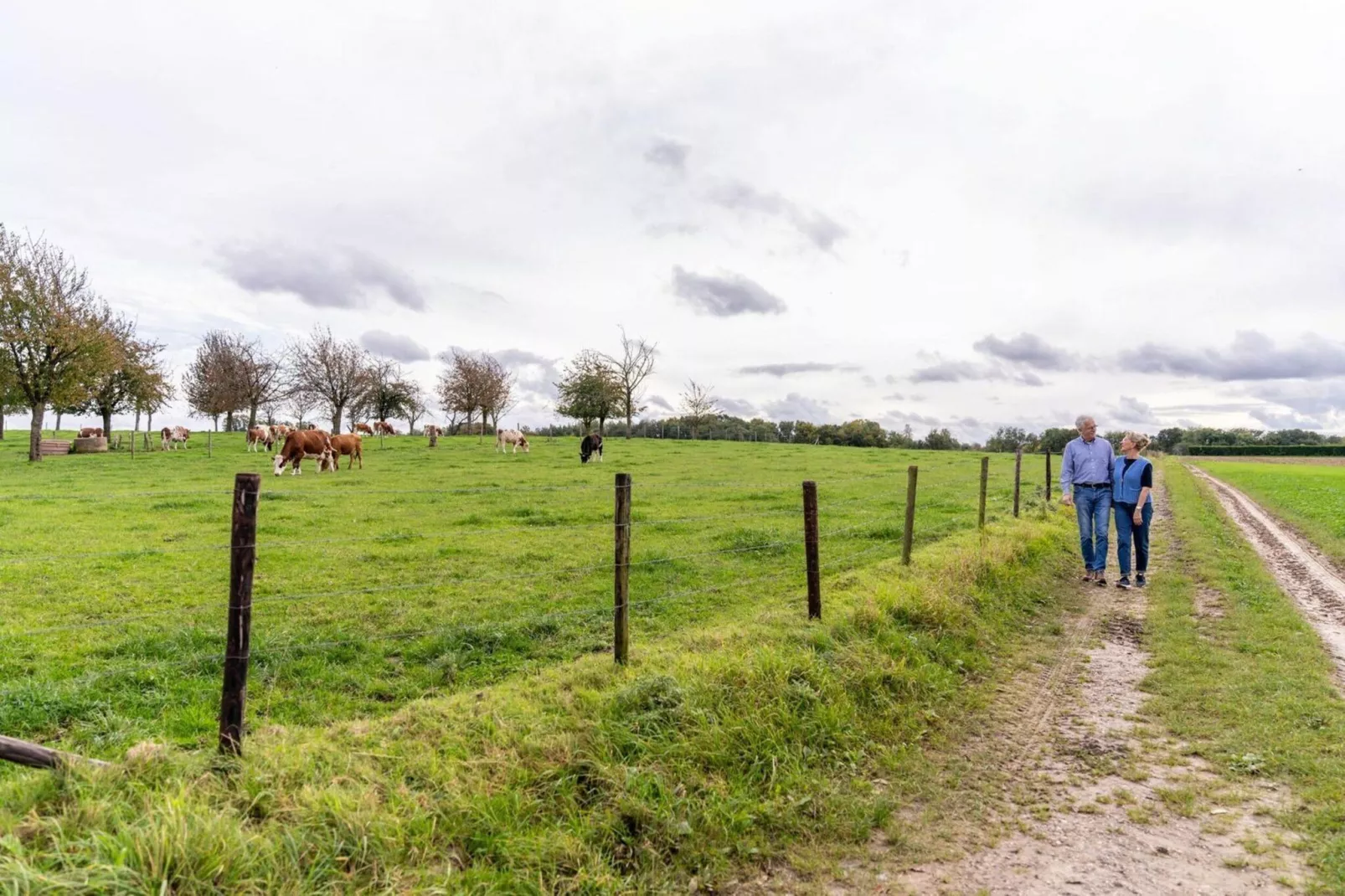 Schaelsbergerbosch - Fireplace & Sauna-Gebieden zomer 20km