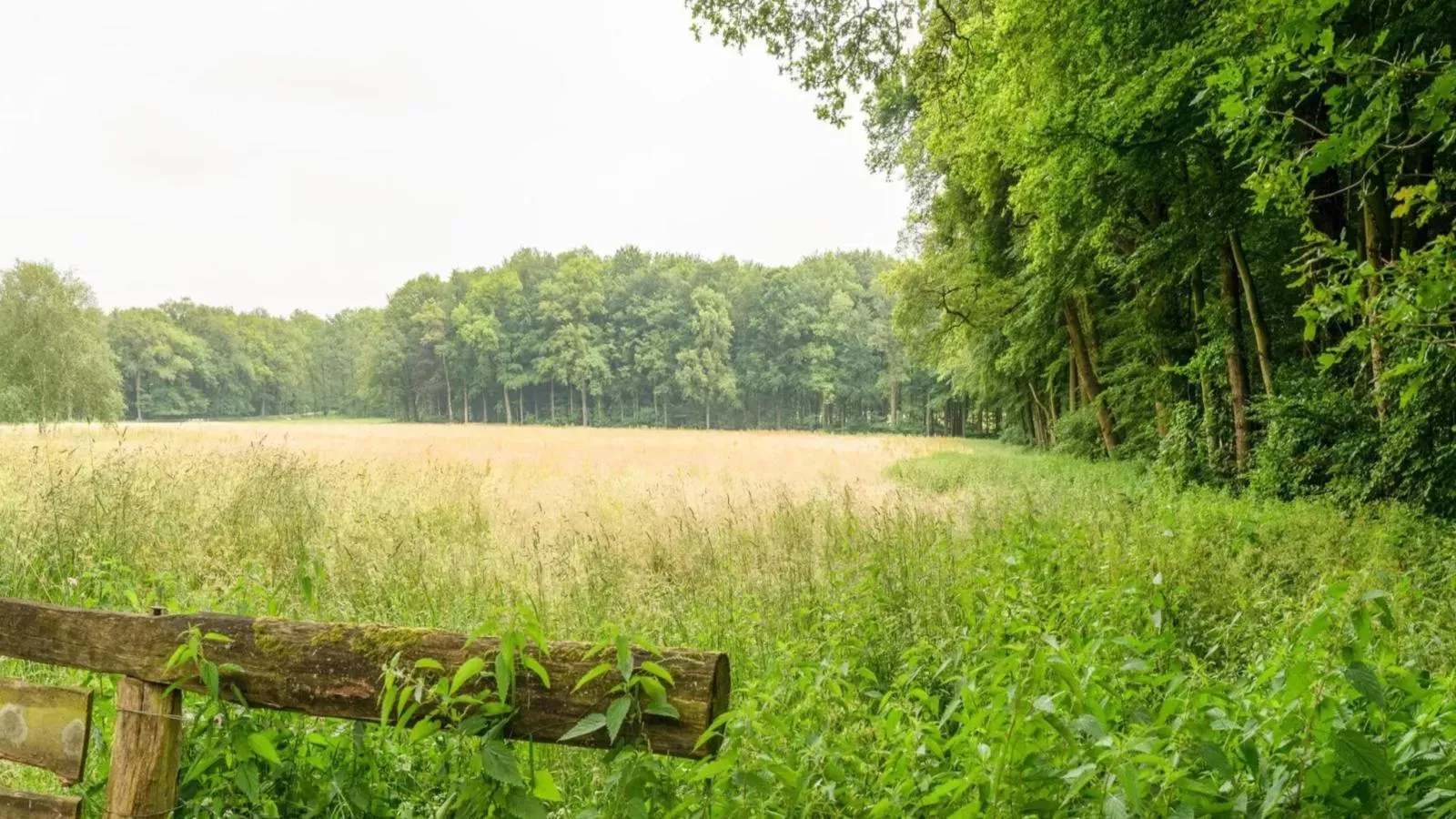 Wellnesshuisje Engelse Tuin-Gebieden zomer 1km