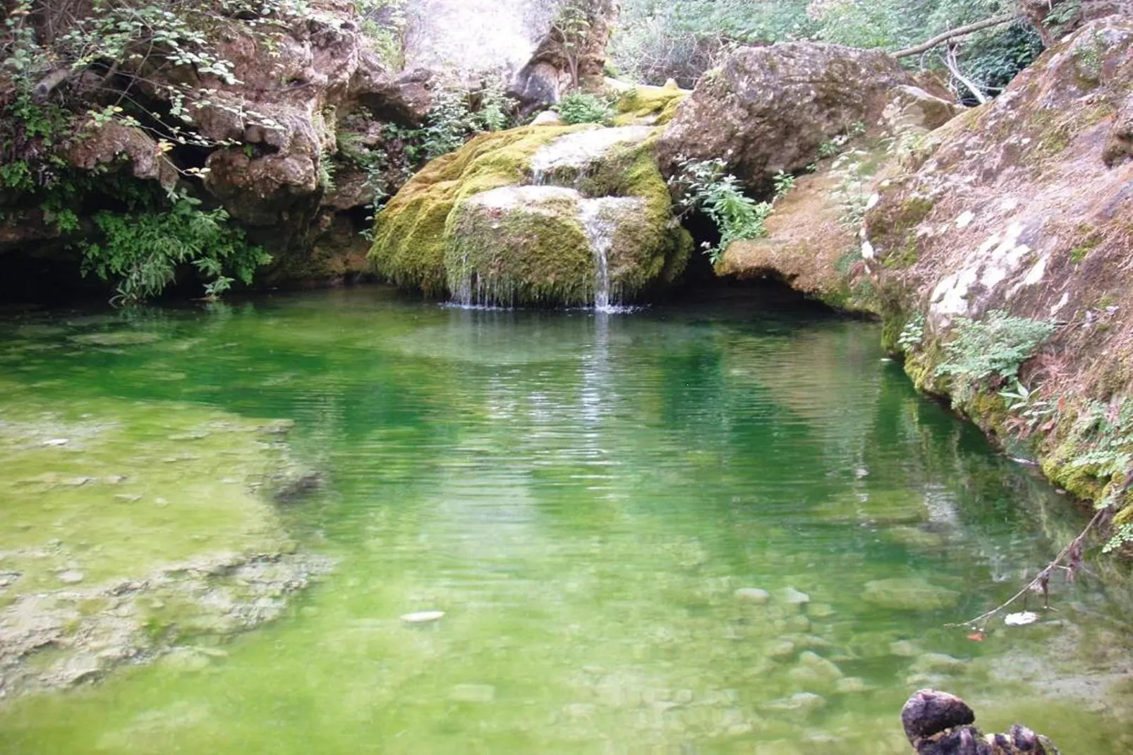 Mas de l'Arlequi - Sfeer