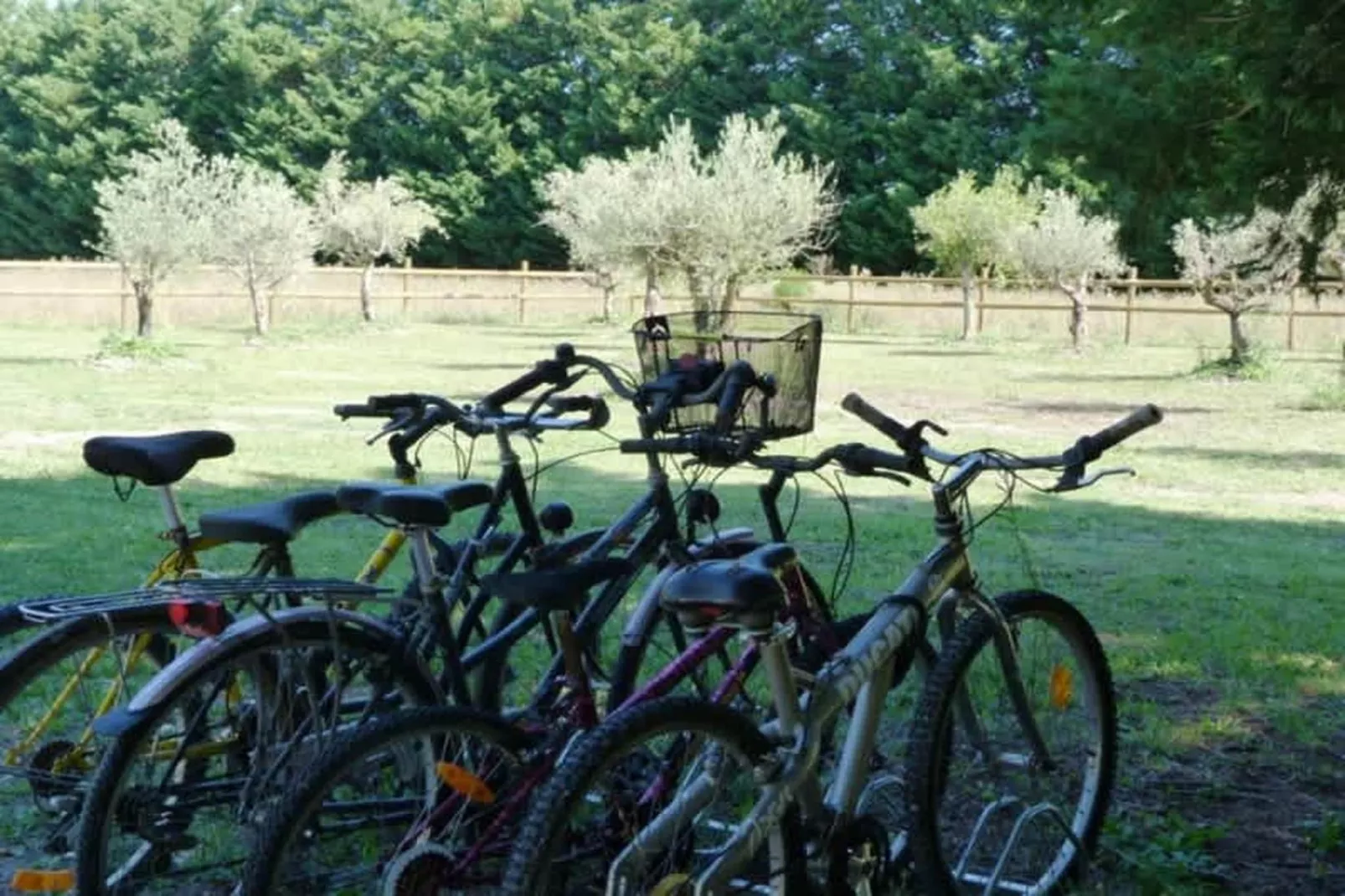 Villa provencale pour les amoureux de la nature en Lubéron-Faciliteiten