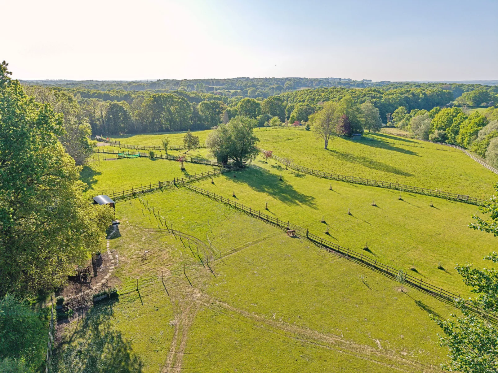 Shepherd's Hut at Hilltop Farm - Buiten