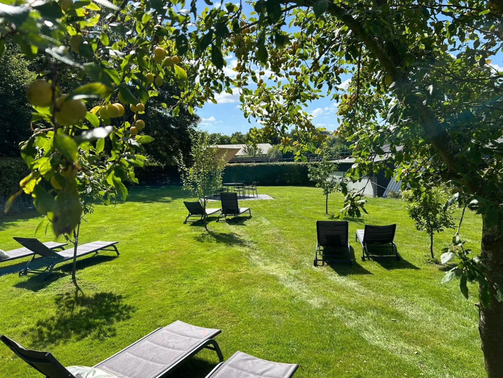 ZH 10 - Image-tags.info