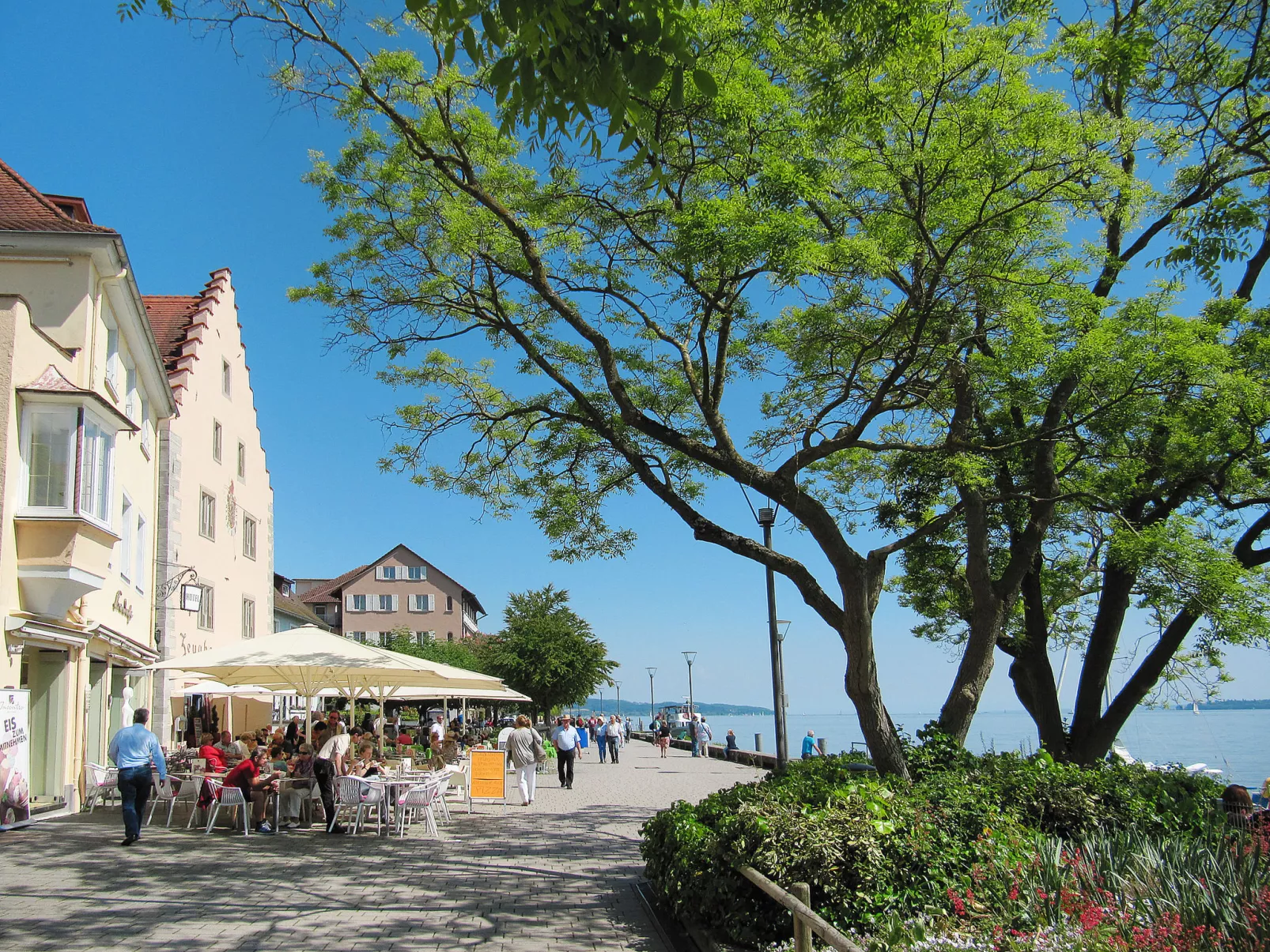 Apartment Alex - Omgeving