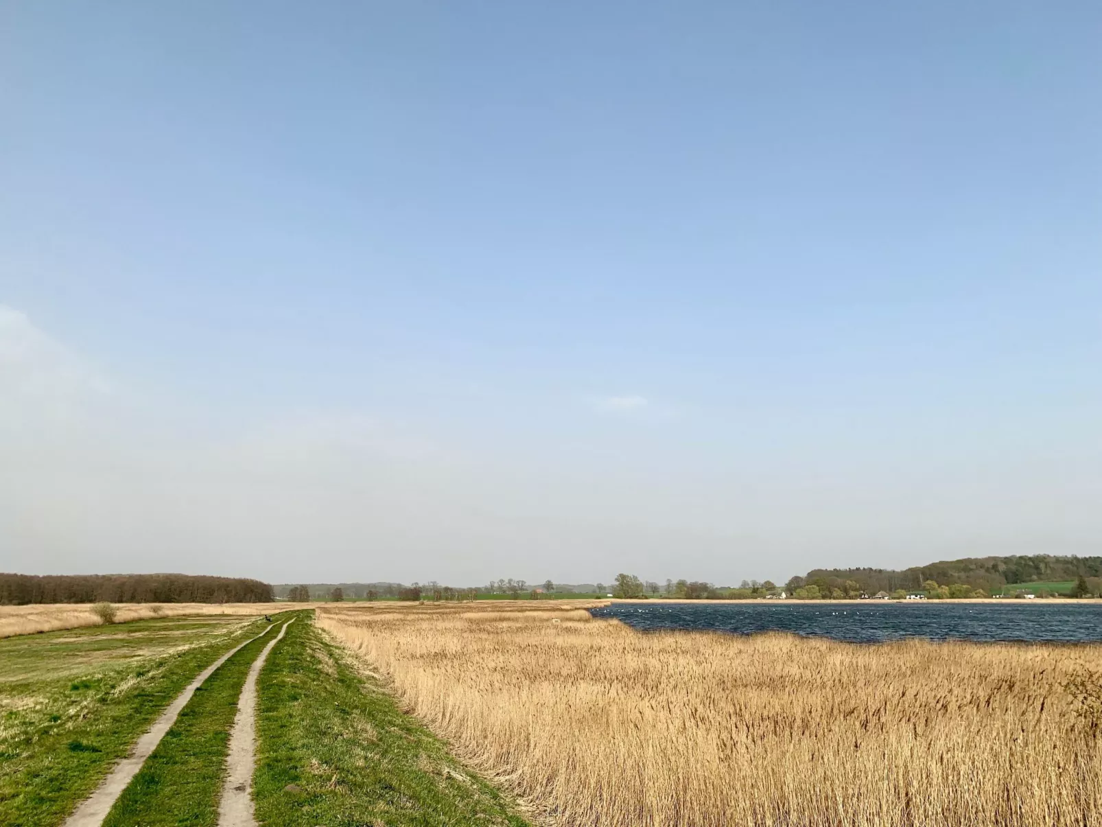 Appartement mit Balkon - Image-tags.info