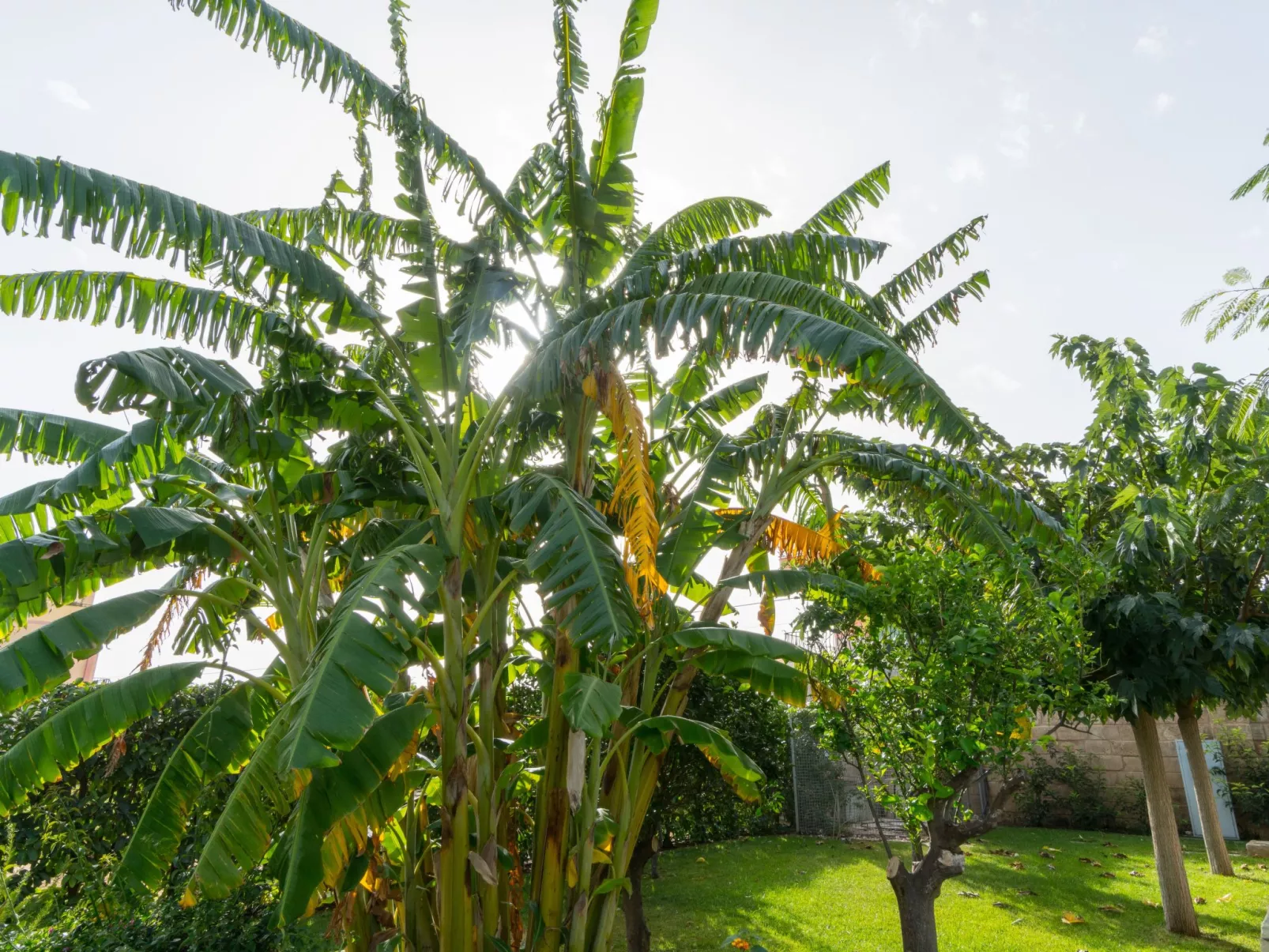 Appartement in Donnalucata mit Großem Garten - Image-tags.info