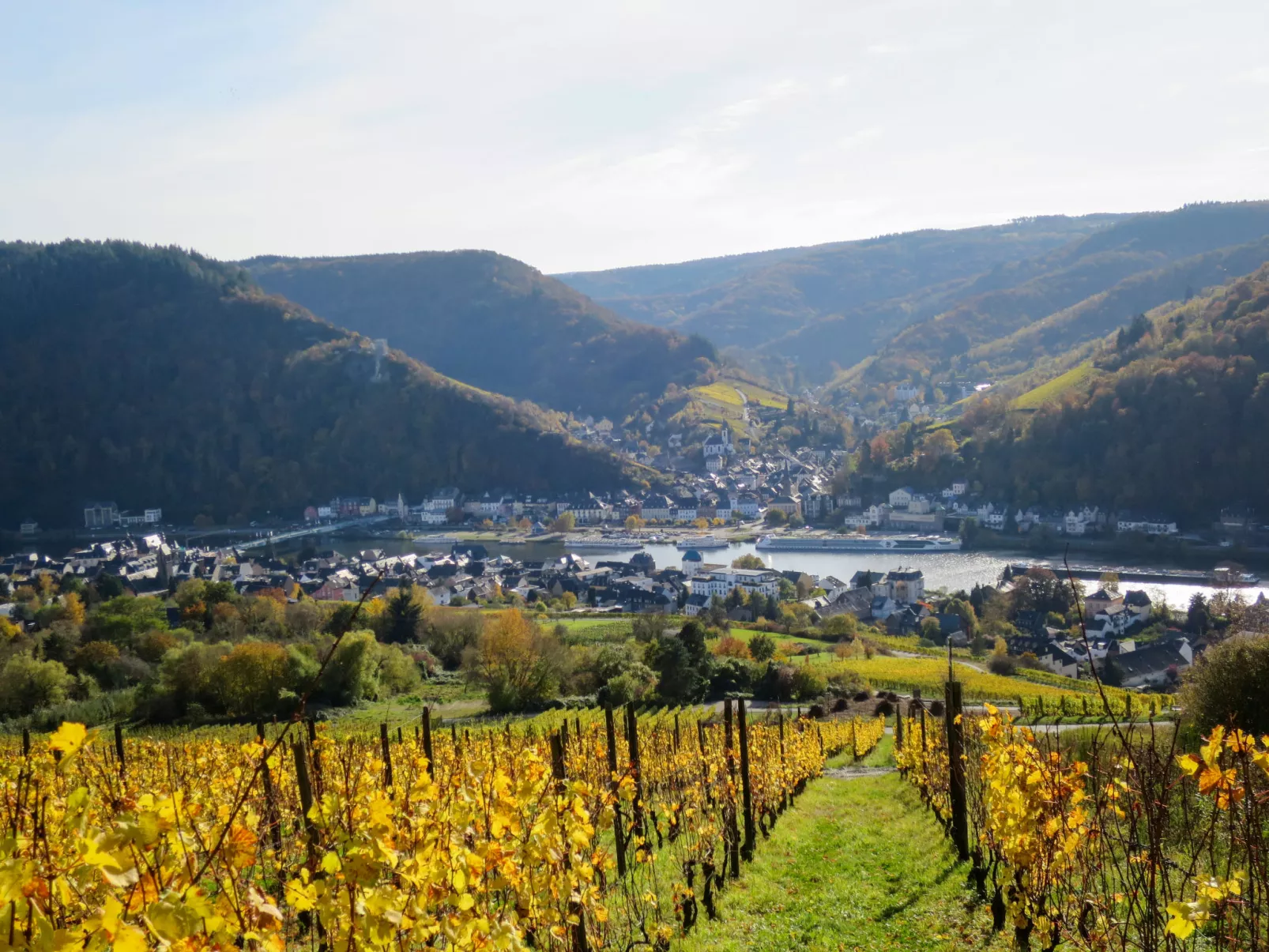 Moselromance mit großer Sonnenterrasse - Omgeving