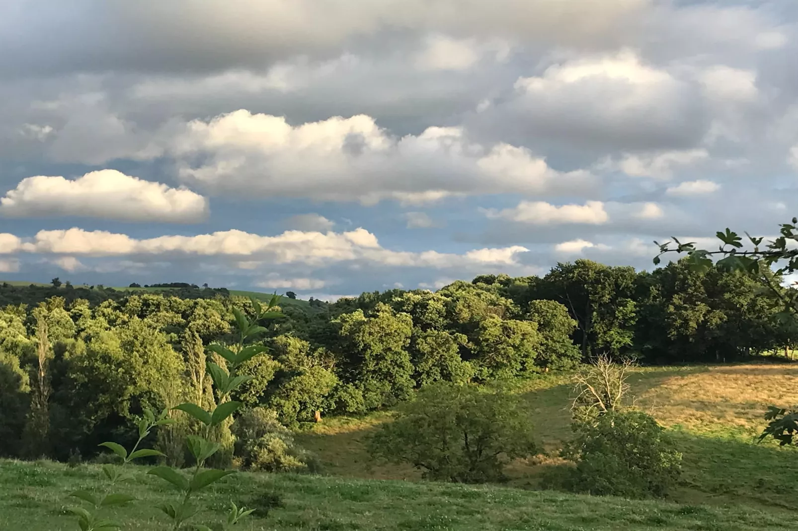 The Grange - Uitzicht