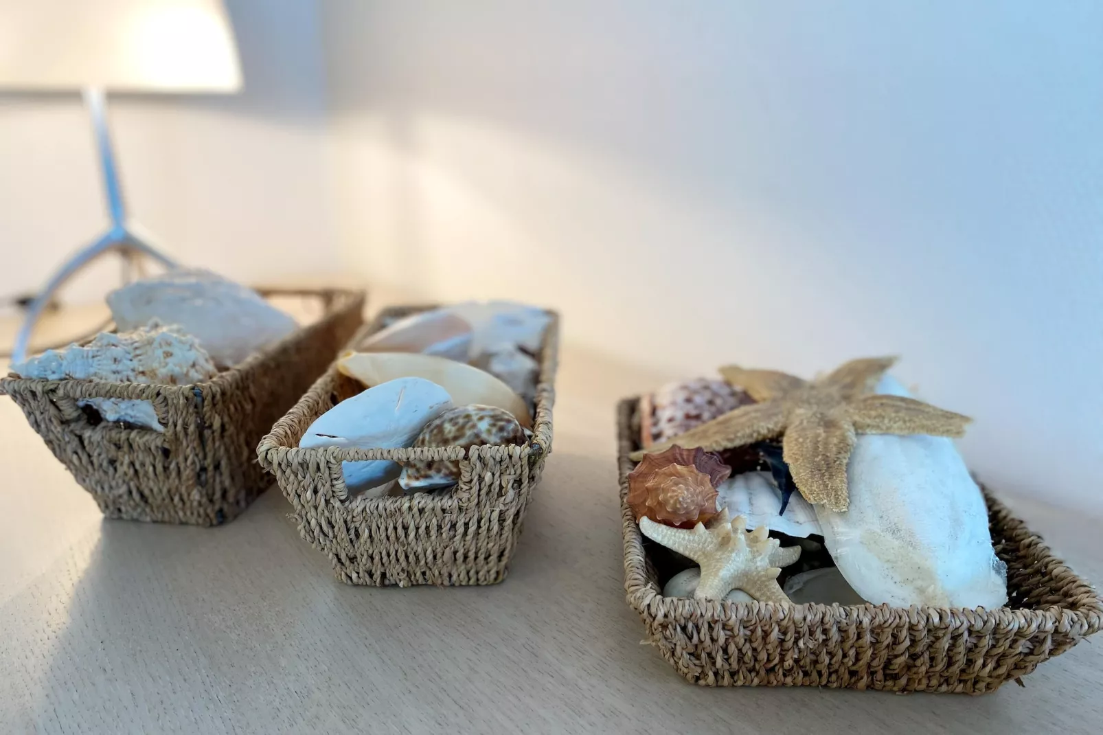 SUNFLOWER 0705GAR-Sfeer