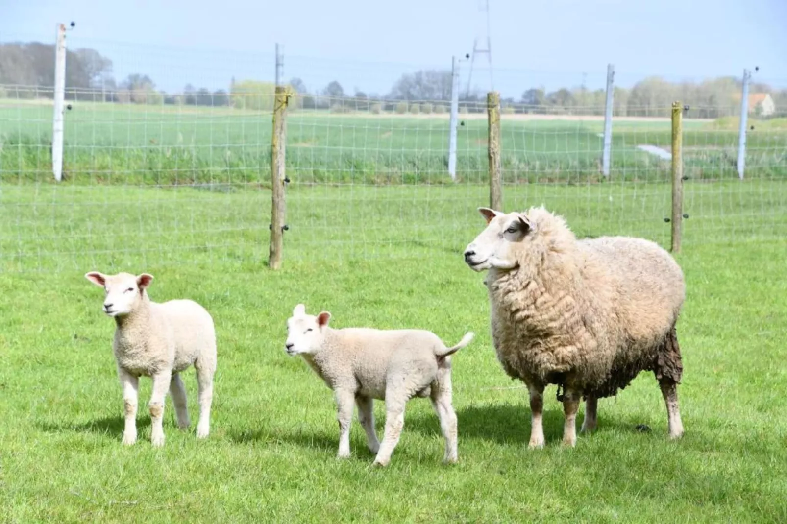 CASINO C-Gebieden zomer 20km