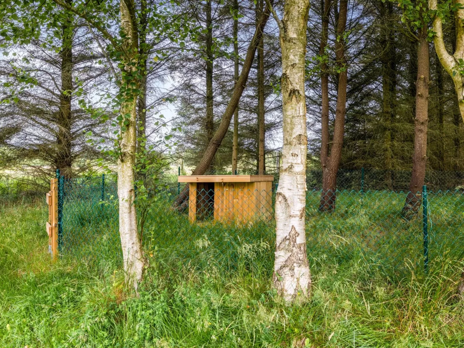 "Marlise" - 2.5km from the sea-Buiten