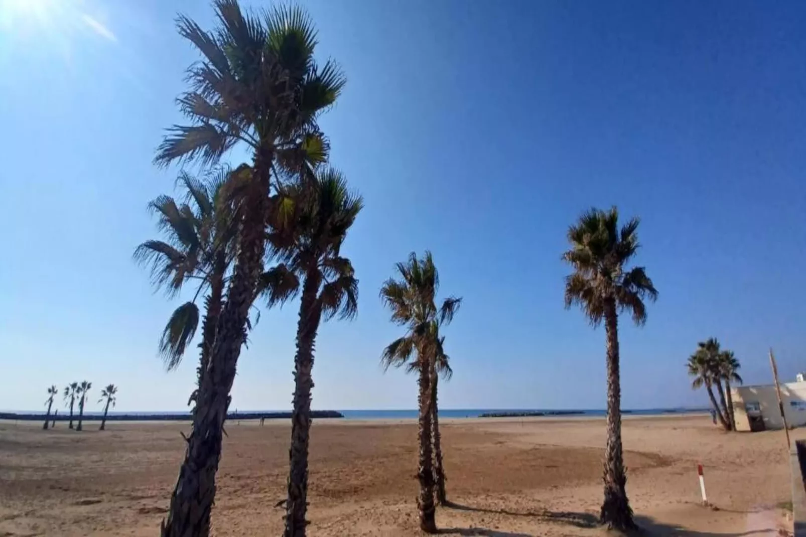 La Dune N°73 - Villa 4P9-Gebieden zomer 1km