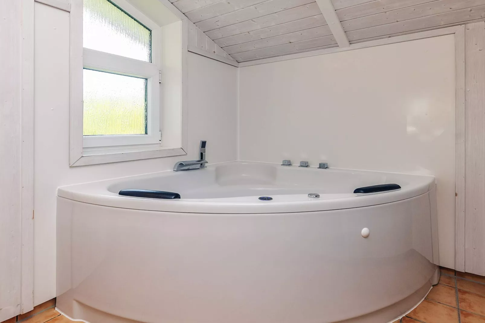 4 sterren vakantie huis in FRIEDRICHKOOG-Binnen