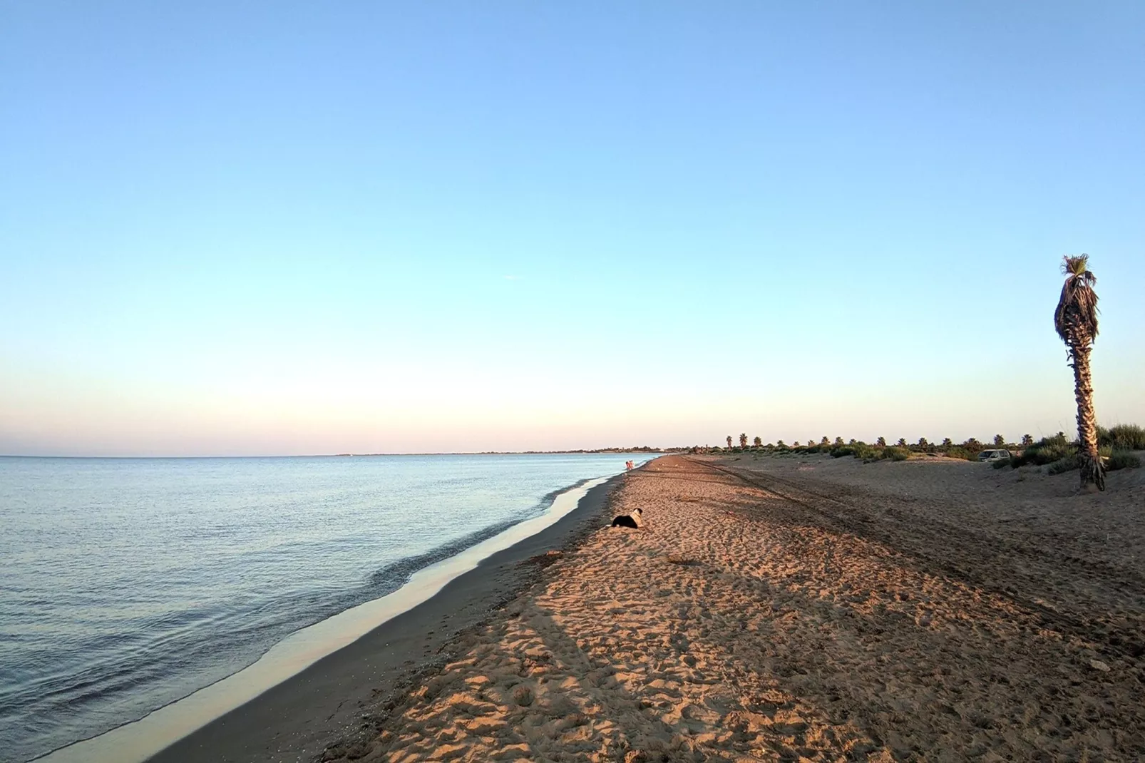 Mas Midó-Gebieden zomer 5km